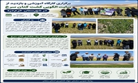 گامی نو در توسعه کشت گیاهان دارویی
