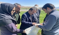 آماده‌سازی مزارع برای بهره وری بالا