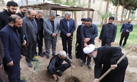 غرس «نهال میثاق» در محوطه مصلای زاهدان به یاد رهبر شهید