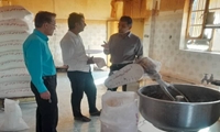 توزیع دو تن مرغ منجمد در لنده