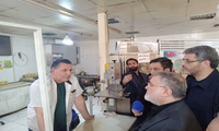 ذخیره‌سازی گوشت و مرغ استان تهران بیش از نیاز مصرف/روند تأمین مایحتاج مردم روزانه ادامه دارد