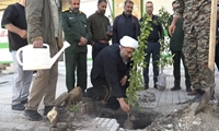 برگزاری پویش سرو ایران در شهرستان حاجی آباد 