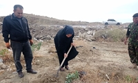 پویش سرو ایران در گچساران 