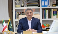 ممنوعیت صادرات محصولات گلخانه ای جنوب کرمان رفع شد.