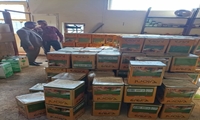 توزیع بیش از ۵۱۰ تن کالای اساسی توسط جهاد کشاورزی شهرستان بندرلنگه