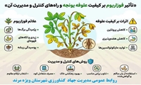 اینفو گرافی  تاثیر فوزاریوم بر کیفیت علوفه یونجه و راه های کنترل و مدیریت آن 