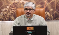 مدیریت جوجه‌ریزی و تأمین نهاده‌ها، محور کنترل بازار مرغ در استان فارس
