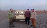 دستگیری باند ۳ نفره قاچاق چوب در دشت سجزی شهرستان کوهپایه
