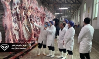امنیت و ایمنی غذایی جامعه تحت هر شرایطی خط قرمز سازمان دامپزشکی است