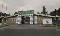 پیام تسلیت شهرام شفیعی به مناسبت شهادت حافظان طبیعت؛ خون شهدا، مقاومت را در ایران مستحکم‌تر می‌کند