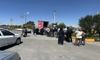 توزیع سیار مرغ منجمد در نقاط کم برخوردار  استان فارس ادامه دارد