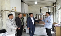 پایداری نانوایی‌های سرخه در شرایط اضطراری/ پایش مستمر روند دوگانه‌سوز شدن واحدهای نانوایی