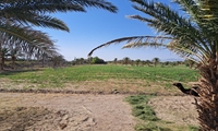  انجام بیش از ۲۷۰ مورد کنترل پروژه و بازدید از اراضی واگذار شده شهرستان زاهدان