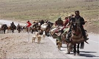 کوچ بهاره یکهزار خانوار عشایر استان تهران آغاز شد 