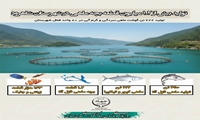  تولید بیش از ۱.۲ میلیون قطعه بچه ماهی در شاهرود