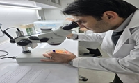 بومی‌سازی تولید و نظارت دقیق؛ محور برنامه‌های مبارزه بیولوژیک لرستان در سال ۱۴۰۵