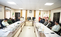 احداث مگافارم یکهزار رأسی گوسفند مولد در مروست