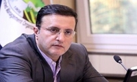 همکاری با کشورهای دوست برای تأمین نهاده‌های دامی و کالاهای اساسی تقویت می‌شود