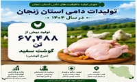 تولید  گوشت سفید (مرغ گوشتی) در استان زنجان
