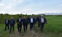 بازدید مسئولان کشوری و استانی از باغات اهر برای تسریع در پرداخت غرامت به کشاورزان خسارت‌دیده