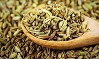 برداشت بیش از یکهزارتن زیره از خراسان شمالی 