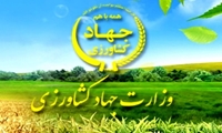 نبرد وزیر جهادکشاورزی در سنگر معیشت