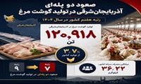 آذربایجان‌شرقی روی پله هفتم تولید مرغ کشور