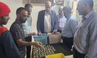  تکمیل زنجیره تولید «سایر ماکیان» در تفت/ تولید روزانه ۲ تن فرآورده گوشتی از کبک و بلدرچین