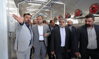  تحول در اقتصاد روستایی باروق؛ ایجاد زنجیره ارزش برای بیش از ۲۶ هزار تن محصول کشاورزی