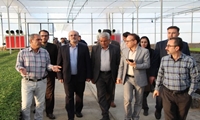 رفع موانع تولید در بزرگترین واحد تولید نشاء پیوندی غرب کشور در همدان 