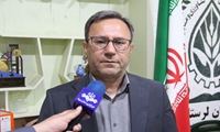 بازار مرغ در لرستان به سمت آرامش می رود