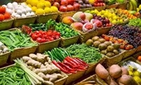 ۱۶ همت ارزش ریالی صادرات محصولات کشاورزی تولیدی اندیمشک  