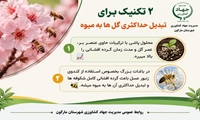 دو تکنیک برای تبدیل حداکثری گلهای درختان به میوه