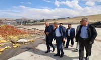 ظرفیت ۱۵۰ هزار تنی صنایع کنسانتره آذربایجان شرقی در خدمت فرآوری سیب