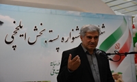 توسعه باغ‌های پسته در ایلخچی؛ گامی مؤثر برای جلوگیری از مهاجرت به کلان‌شهرها