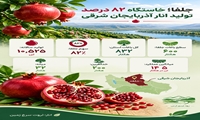 جلفا خاستگاه ۸۲ درصد تولید انار آذربایجان شرقی 