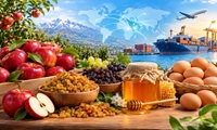صادرات ۱۴۰ هزار تن محصولات کشاورزی آذربایجان شرقی در نیمه نخست سال جاری