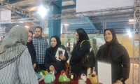 توسعه زنجیره ارزش پشم عشایر به رونق بازار نمد کمک می‌کند