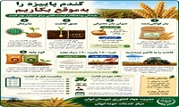 کاشت به موقع گندم پاییزه