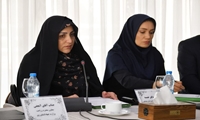 مطالبات گندمکاران تا پایان شهریور پرداخت می‌شود/ تأکید بر هوشمندسازی کشاورزی