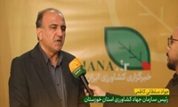 سرمایه گذاری در بخش کشاورزی در استان خوزستان 3 برابر شد 