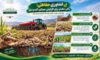 کشاورزی حفاظتی  راهی مطمئن برای افزایش عملکرد گندم دیم