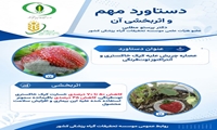 اینفوگرافی/ دستاورد اثربخش عصاره چریش علیه کپک خاکستری و آنتراکنوز توت فرنگی