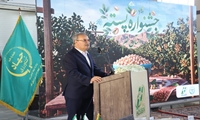 رونمایی از رقم جدید پسته حسینی با حضور معاون وزیر جهاد کشاورزی در قم