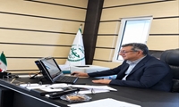 خرید حمایتی مرغ منجمد در ایلام تسهیل شد/کشتارگاه‌ها پای کار حمایت از مرغداران