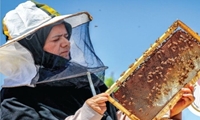 فعالیت ۲۴ صندوق اعتبارات خرد زنان روستایی در استان قم 