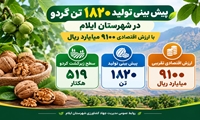 پیش بینی تولید  ۱۸۲۰ تن گردو در ایلام