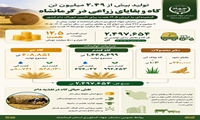 تولید کاه در استان کرمانشاه و ارزش غذایی و مادی این محصول
