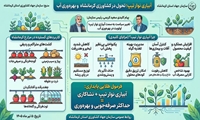  مزایای استفاده از روش آبیاری نوار تیپ در مزارع آبی استان کرمانشاه  
