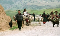 عشایر تهران بار و بُنه کوچ به مقصد میان‌بند می‌بندند/ کوچ بهاره از اواخر فروردین آغاز می‌شود